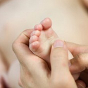 La Chiropratique